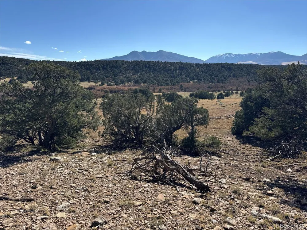 41 Co Rd 531 CL&G Unit BB Walsenburg, CO 81089