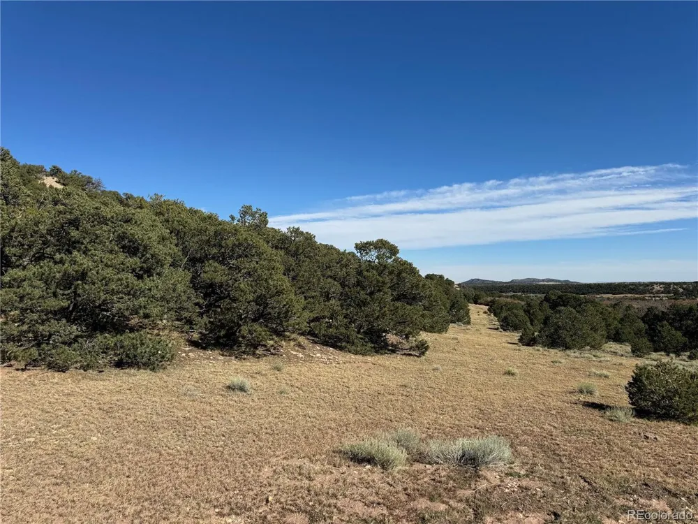 41 Co Rd 531 CL&G Unit BB Walsenburg, CO 81089