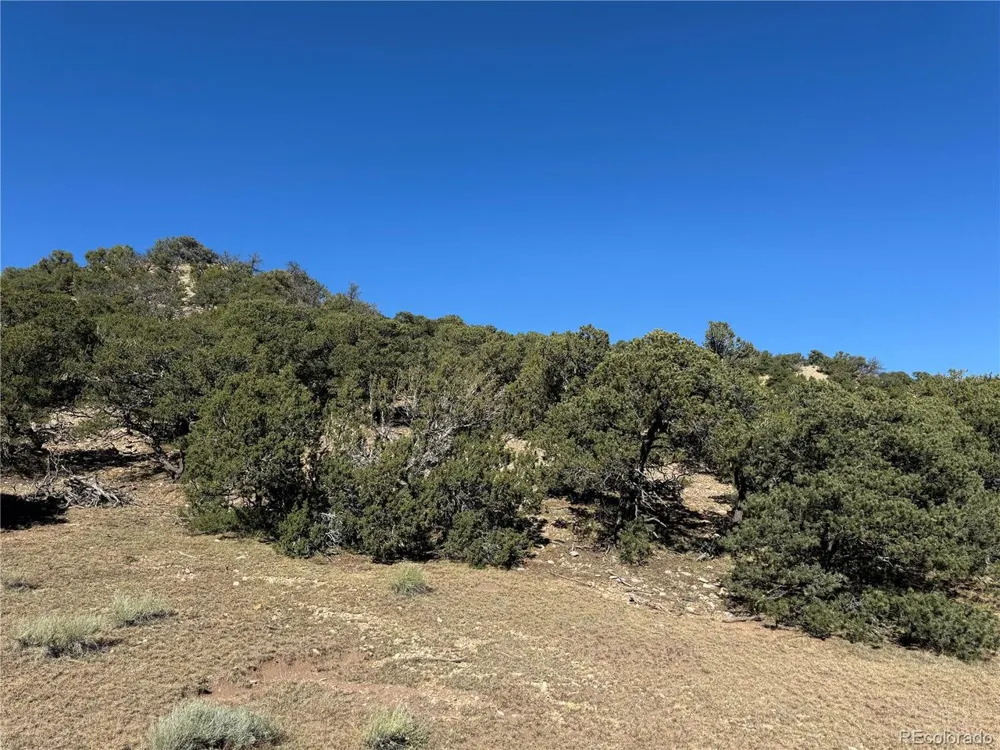 41 Co Rd 531 CL&G Unit BB Walsenburg, CO 81089