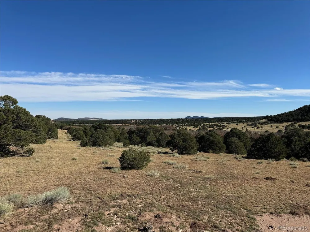 41 Co Rd 531 CL&G Unit BB Walsenburg, CO 81089