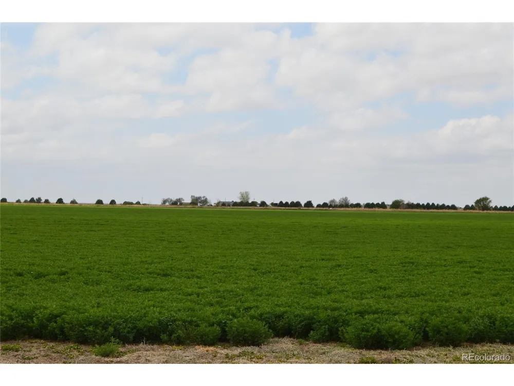 22661 Road 24 La Junta, CO 81050