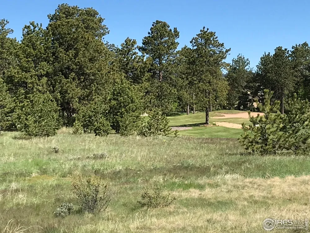 3 Fox Meadow Lane #Lot 3 Red Feather Lakes, CO 80545