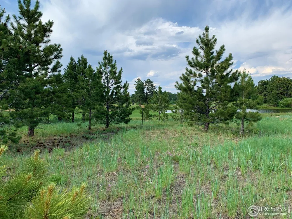 3 Fox Meadow Lane #Lot 3 Red Feather Lakes, CO 80545