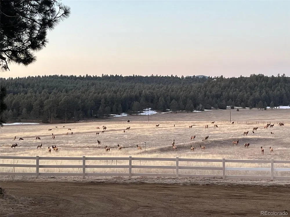 24030 County Road 43.6 Aguilar, CO 81020