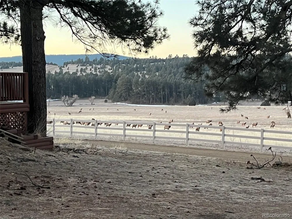 24030 County Road 43.6 Aguilar, CO 81020
