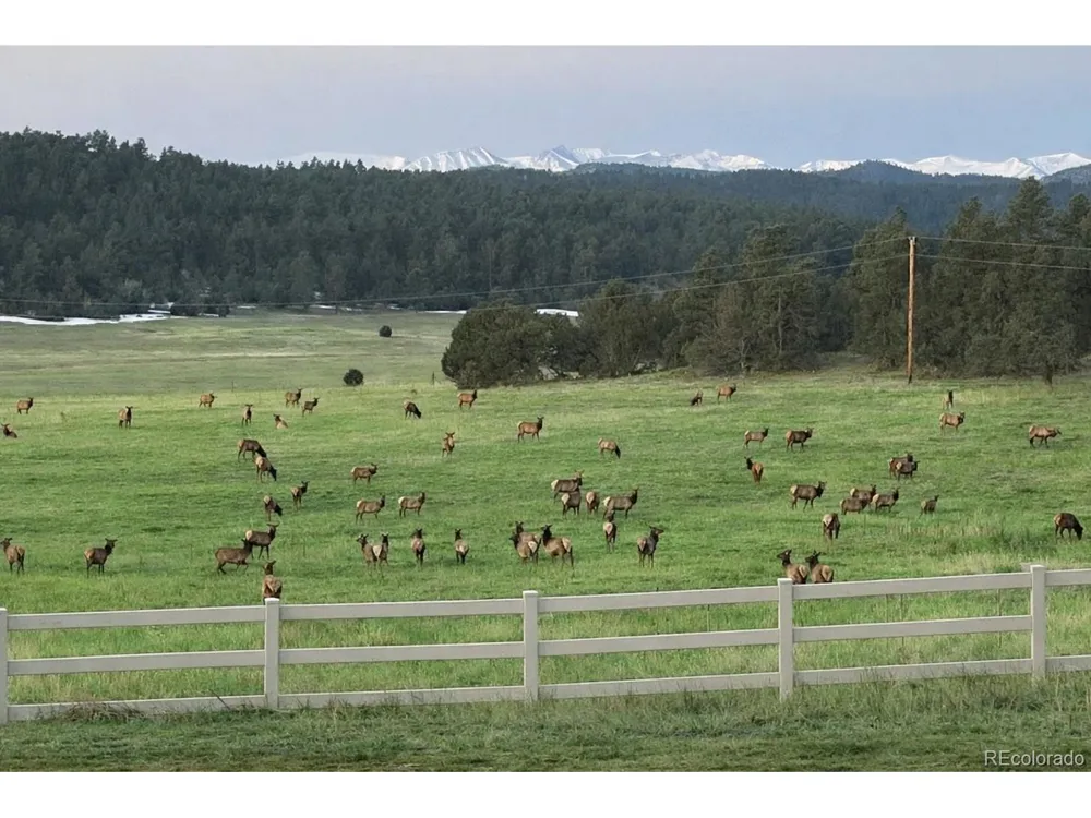 24030 County Road 43.6 Aguilar, CO 81020
