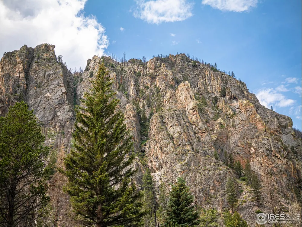 37797 W Highway 14 Bellvue, CO 80512