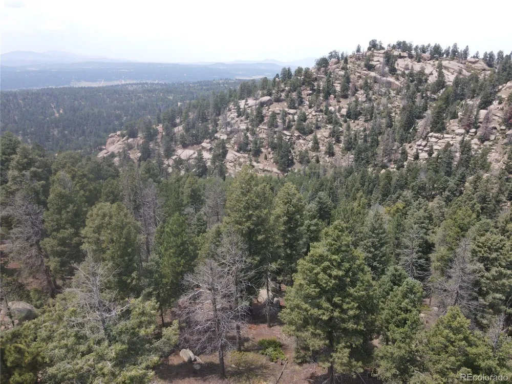 3546 Mountain Estates Road Florissant, CO 80816