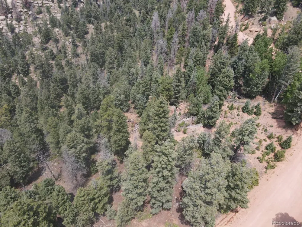 3546 Mountain Estates Road Florissant, CO 80816