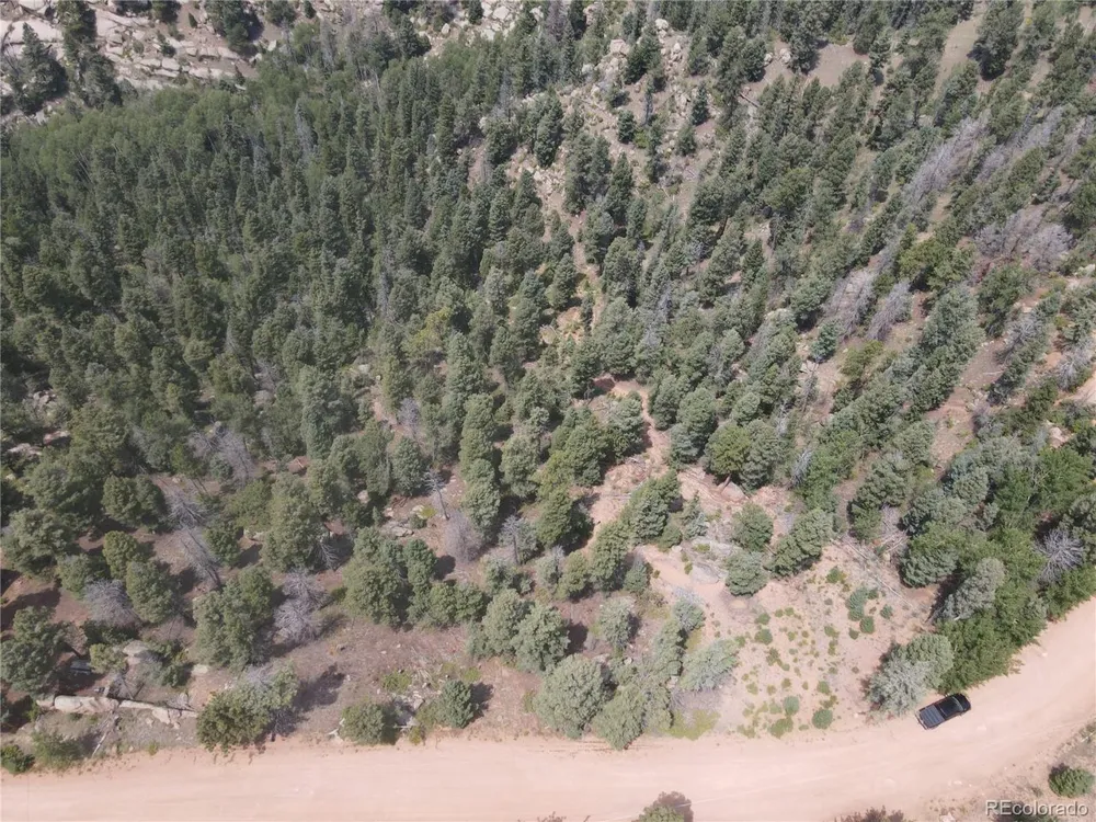 3546 Mountain Estates Road Florissant, CO 80816