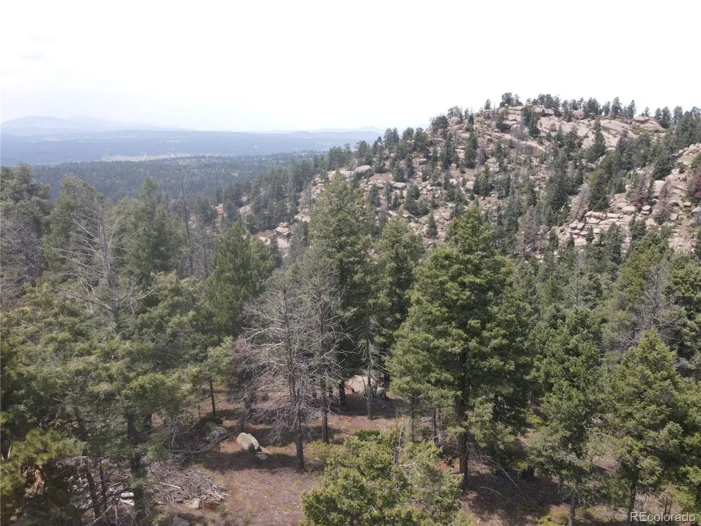 3546 Mountain Estates Road Florissant, CO 80816