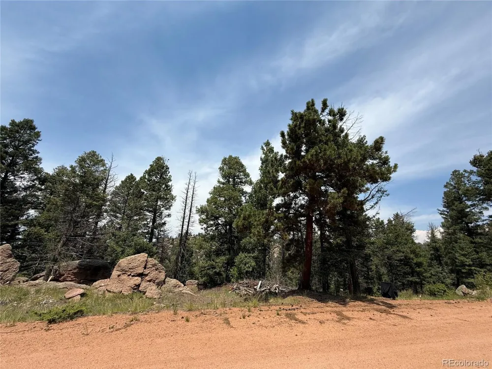 3546 Mountain Estates Road Florissant, CO 80816