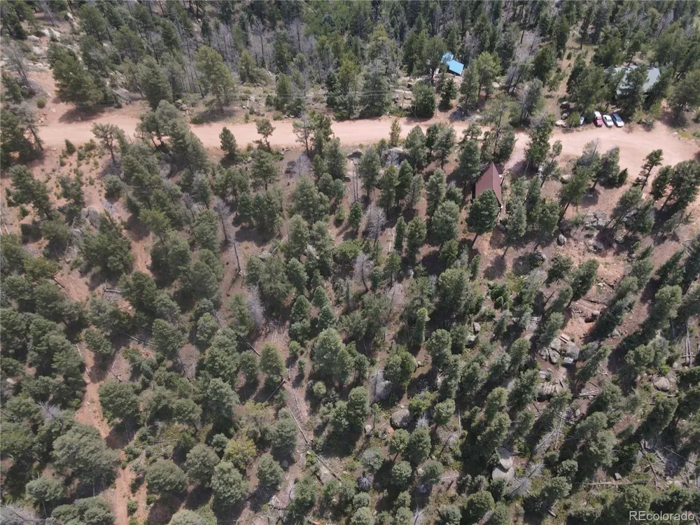 3546 Mountain Estates Road Florissant, CO 80816