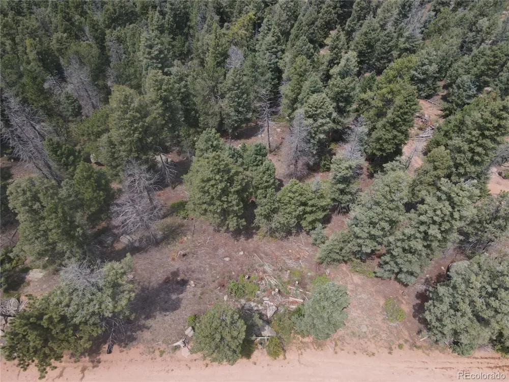 3546 Mountain Estates Road Florissant, CO 80816