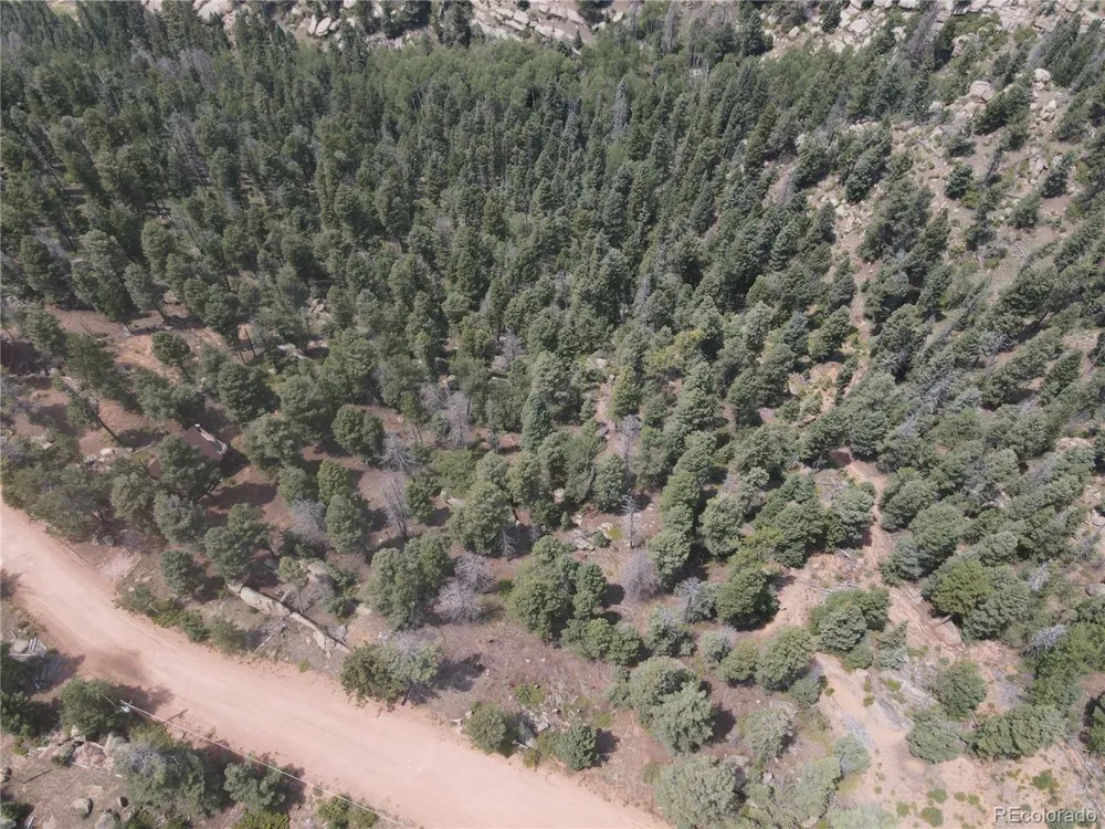 3546 Mountain Estates Road Florissant, CO 80816