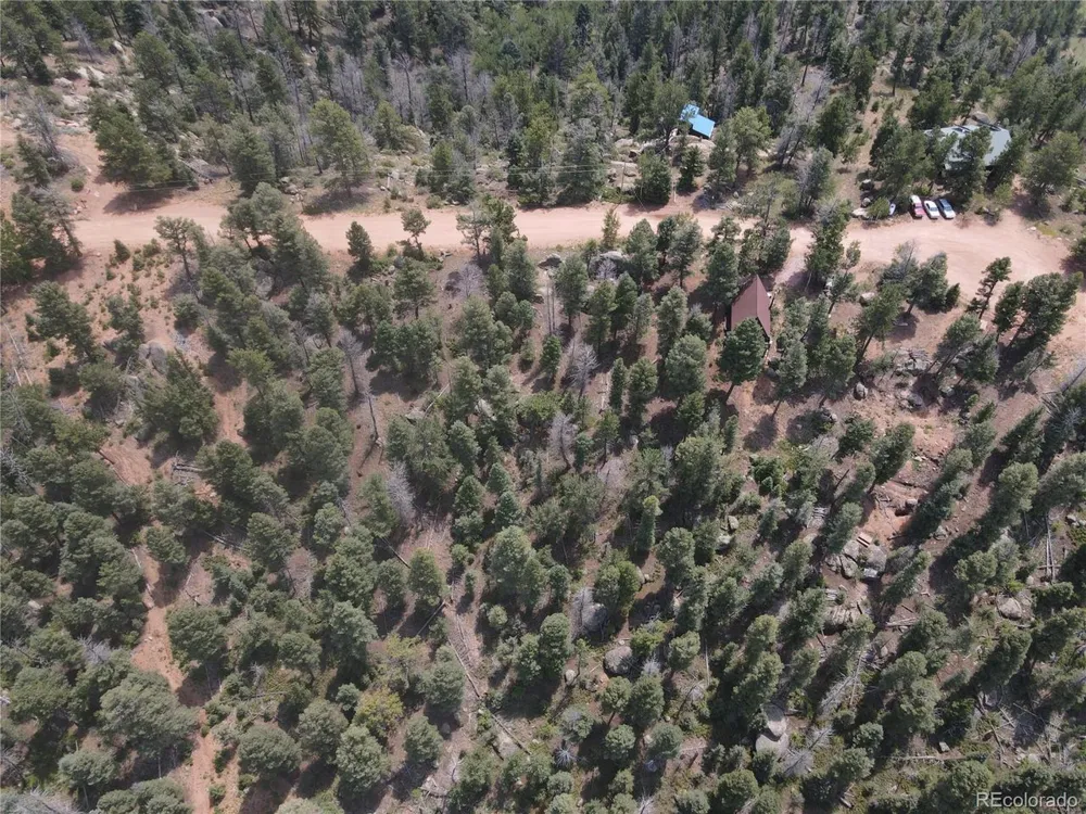 3546 Mountain Estates Road Florissant, CO 80816