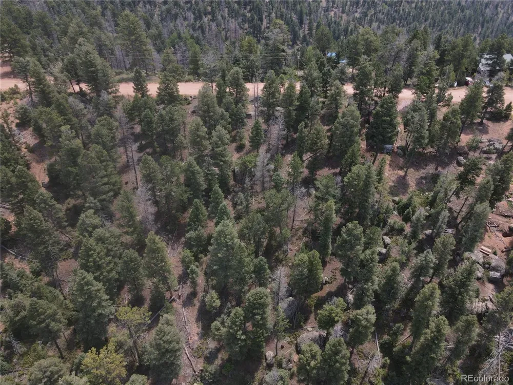 3546 Mountain Estates Road Florissant, CO 80816
