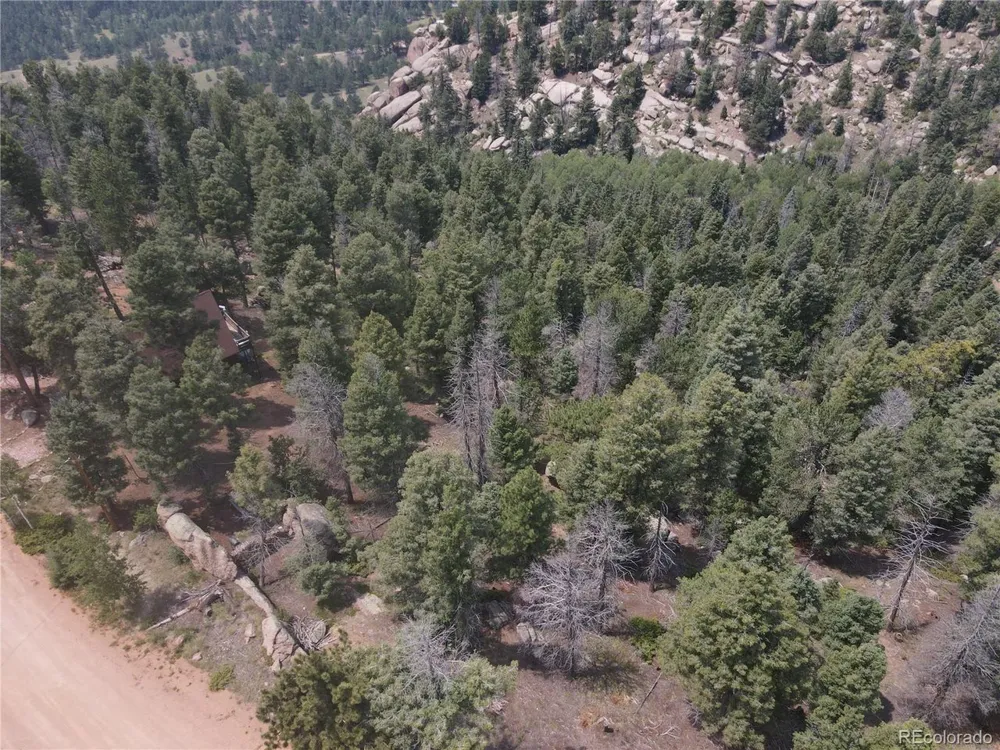 3546 Mountain Estates Road Florissant, CO 80816