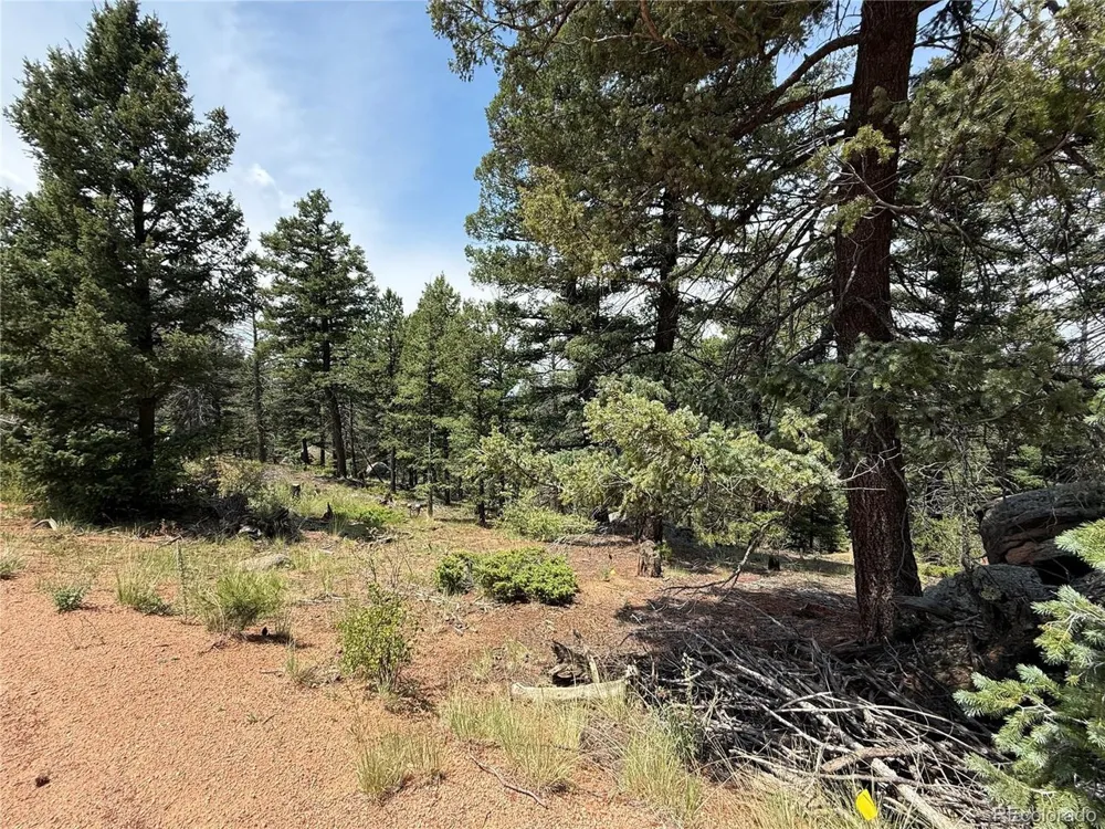 3546 Mountain Estates Road Florissant, CO 80816