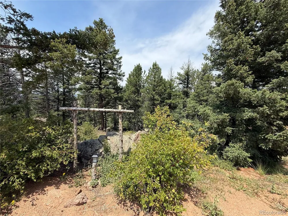 3546 Mountain Estates Road Florissant, CO 80816