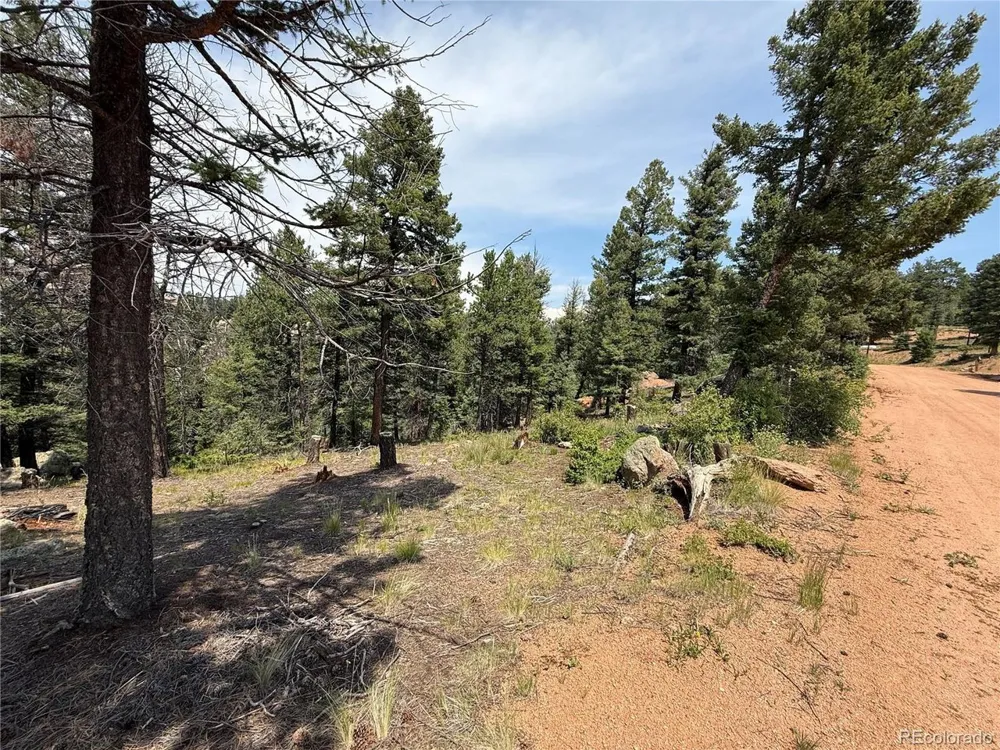 3546 Mountain Estates Road Florissant, CO 80816