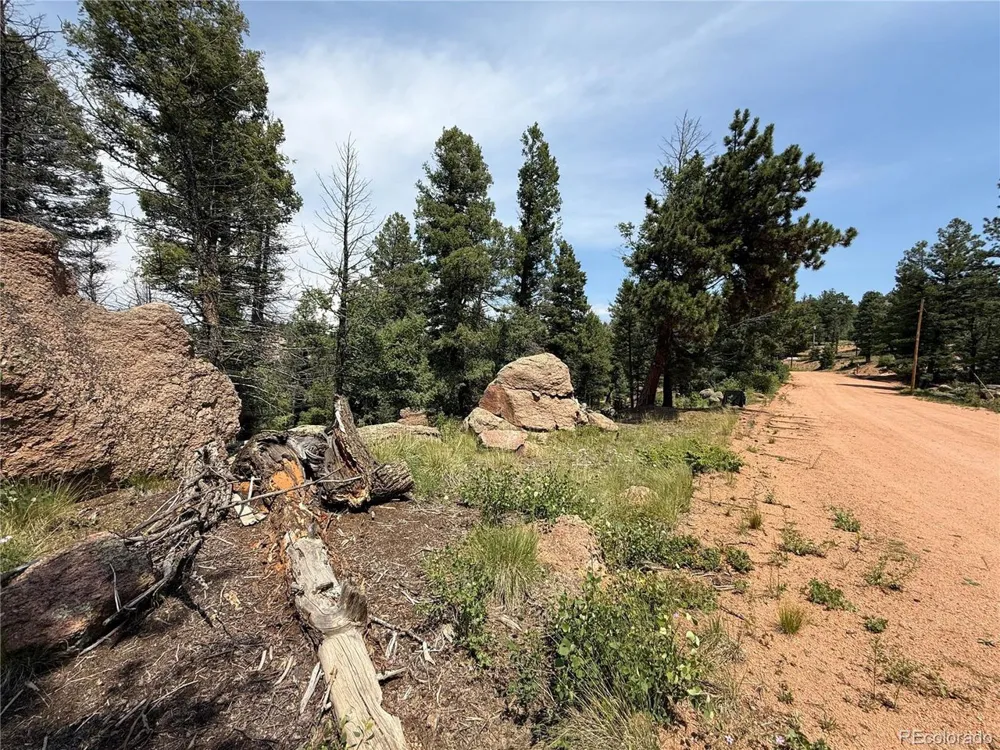 3546 Mountain Estates Road Florissant, CO 80816