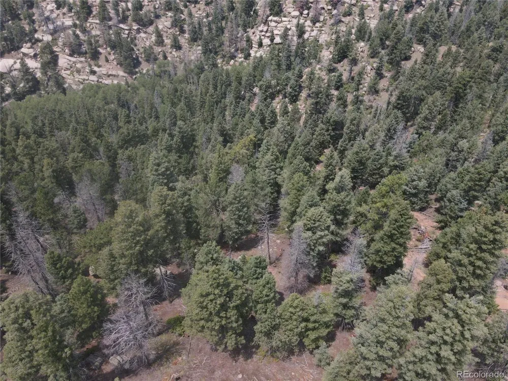 3546 Mountain Estates Road Florissant, CO 80816