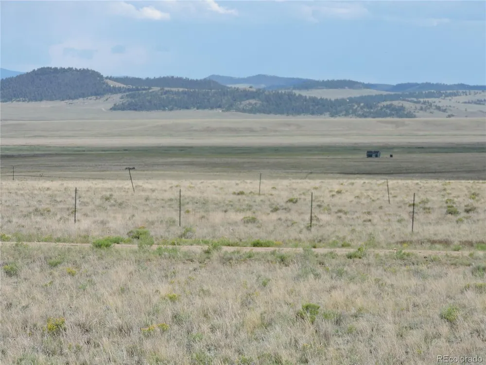173 Routt Road Hartsel, CO 80449