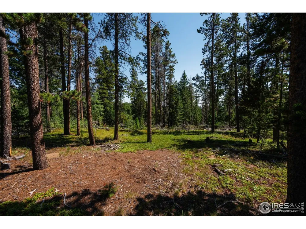 122 Elk Way Drake, CO 80515