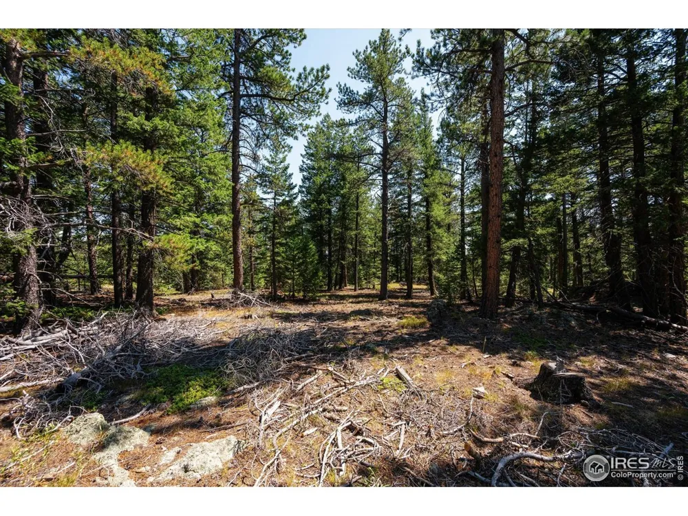 122 Elk Way Drake, CO 80515