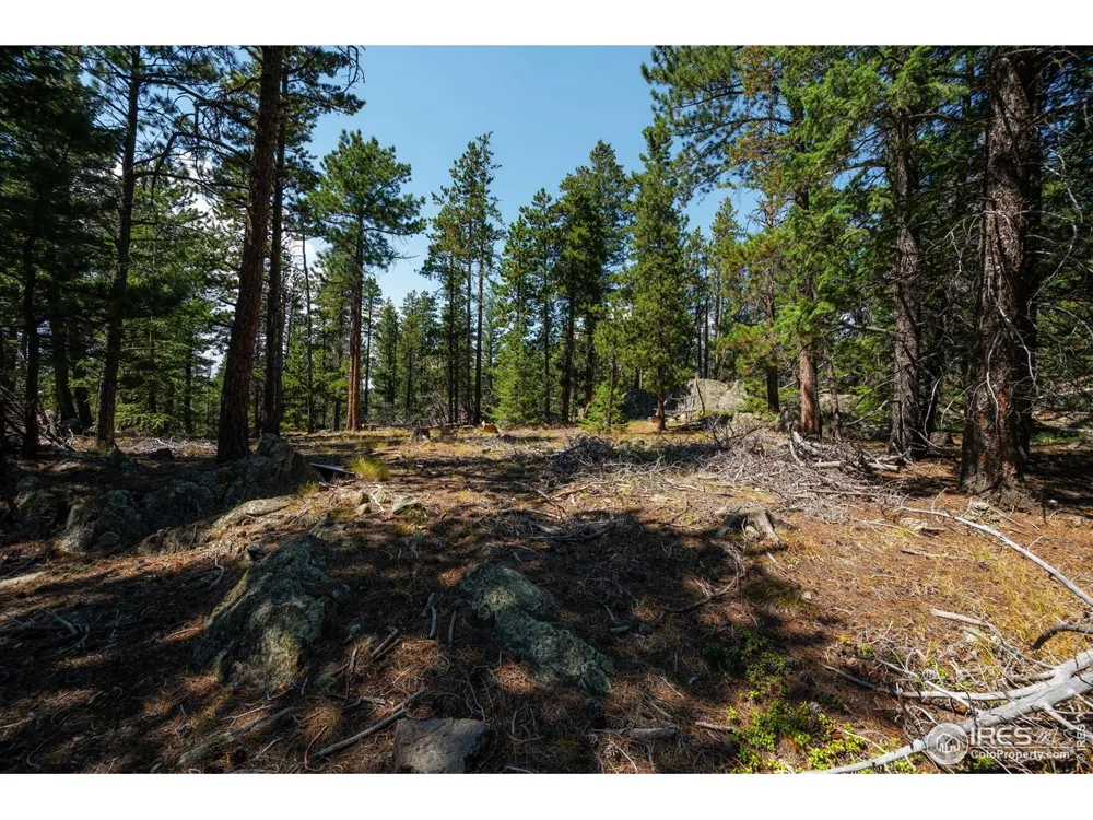 122 Elk Way Drake, CO 80515