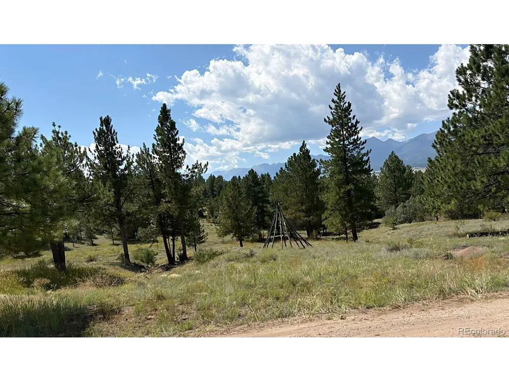 278 Blue Grouse Circle Westcliffe, CO 81252
