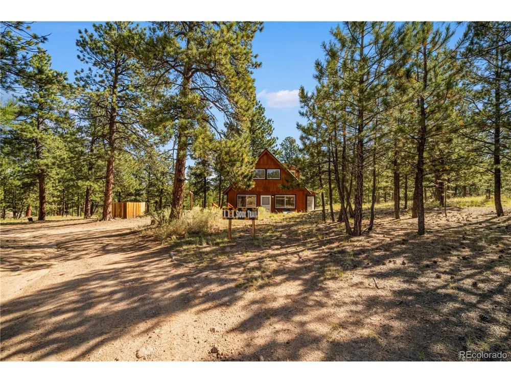 111 Sioux Trail Westcliffe, CO 81252