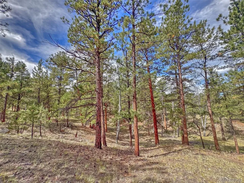 111 Sioux Trail Westcliffe, CO 81252