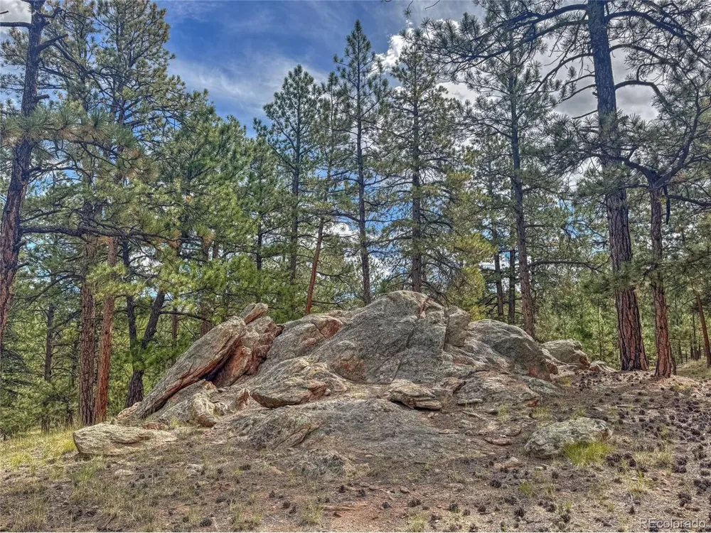 111 Sioux Trail Westcliffe, CO 81252
