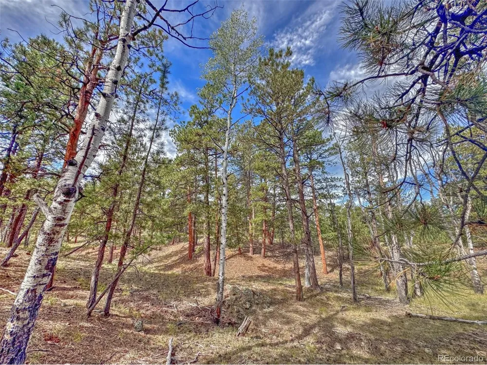 111 Sioux Trail Westcliffe, CO 81252