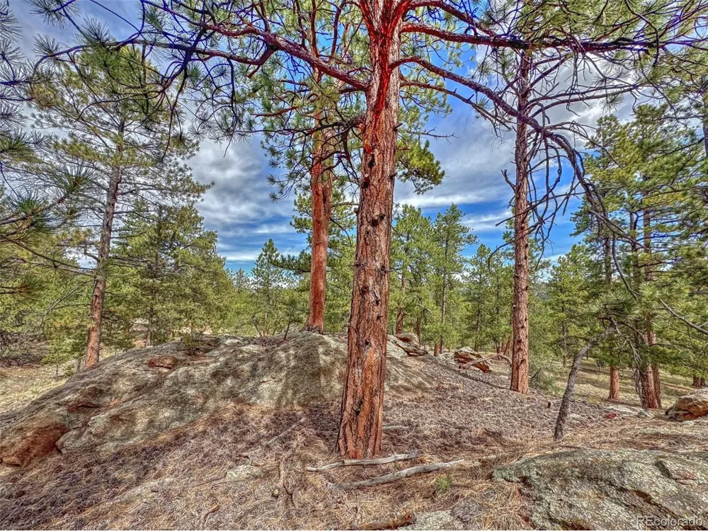 111 Sioux Trail Westcliffe, CO 81252