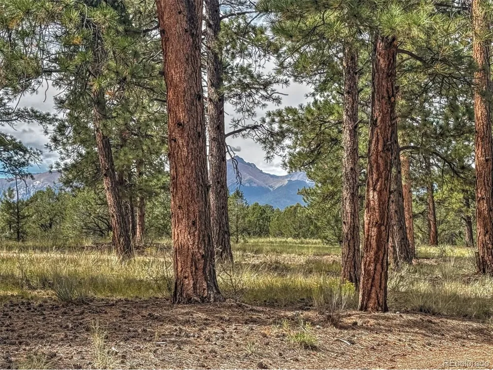 111 Sioux Trail Westcliffe, CO 81252