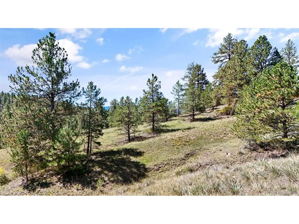163 Valley View Drive Florissant, CO 80816