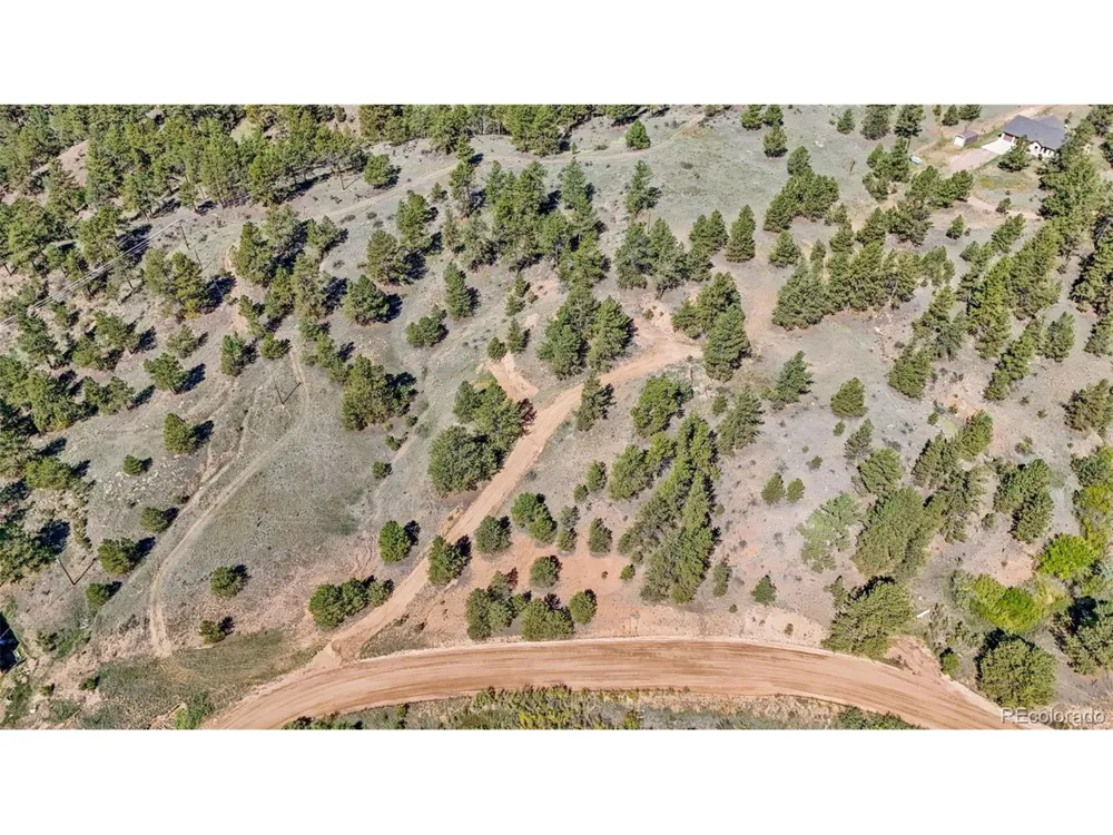 163 Valley View Drive Florissant, CO 80816