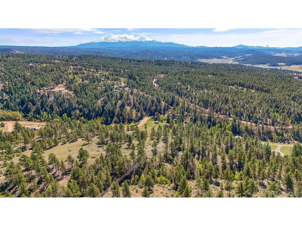163 Valley View Drive Florissant, CO 80816