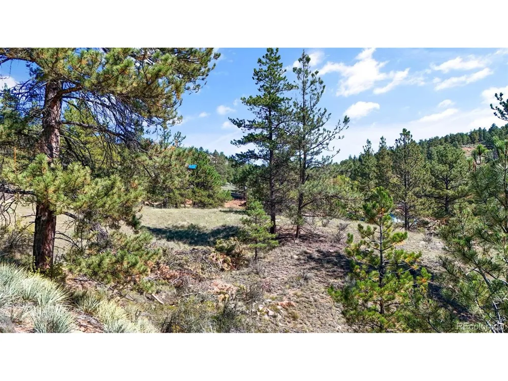 163 Valley View Drive Florissant, CO 80816