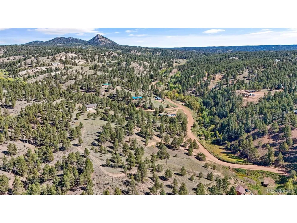 163 Valley View Drive Florissant, CO 80816