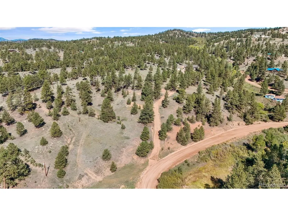 163 Valley View Drive Florissant, CO 80816