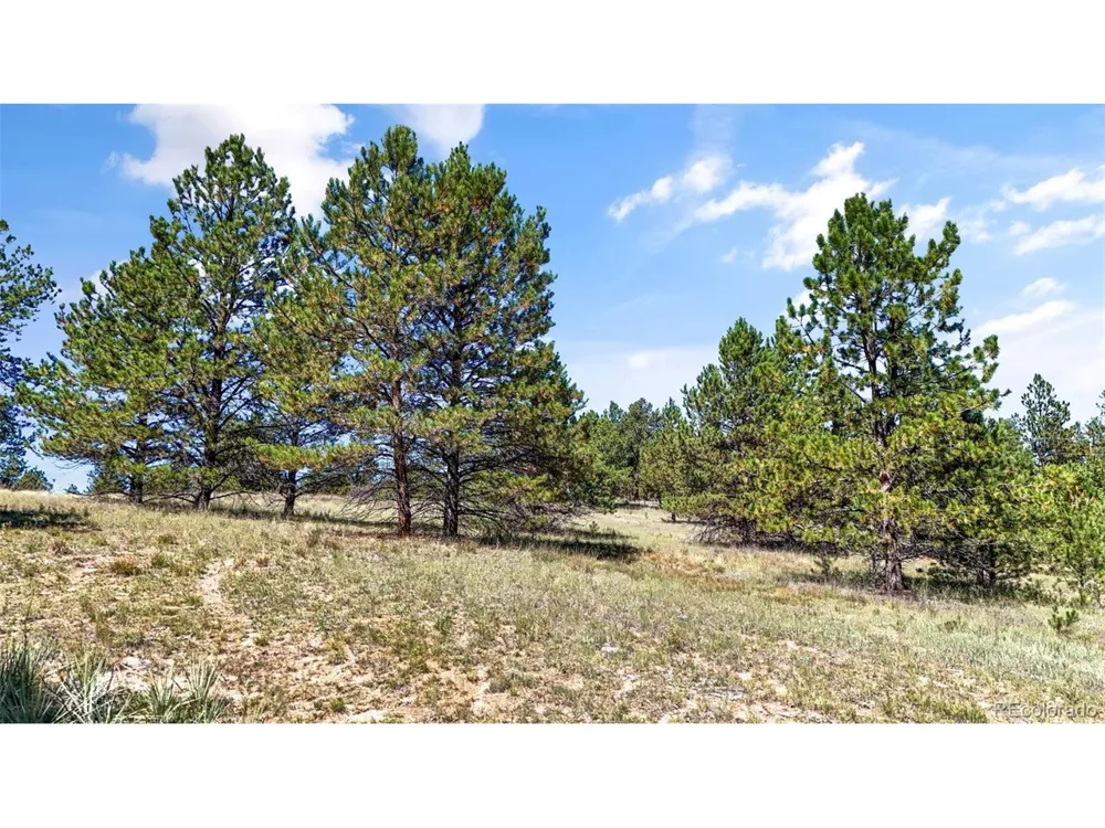 163 Valley View Drive Florissant, CO 80816