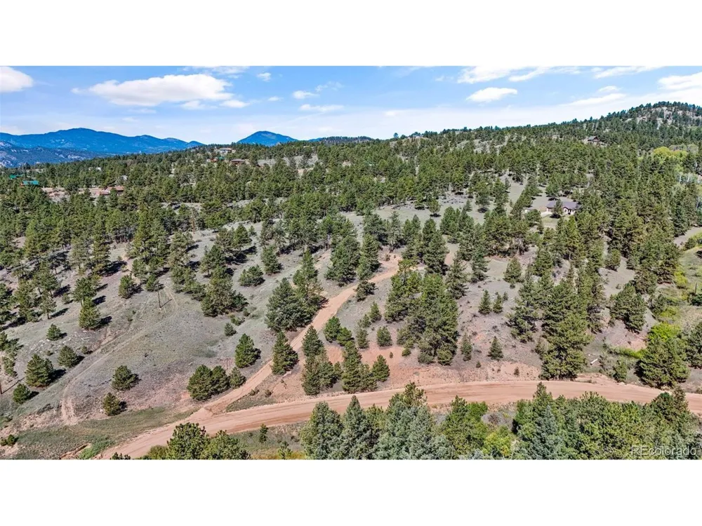 163 Valley View Drive Florissant, CO 80816