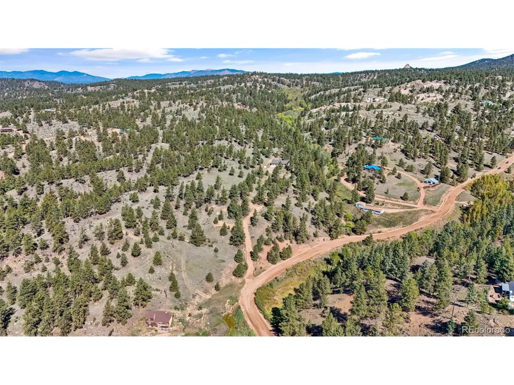 163 Valley View Drive Florissant, CO 80816