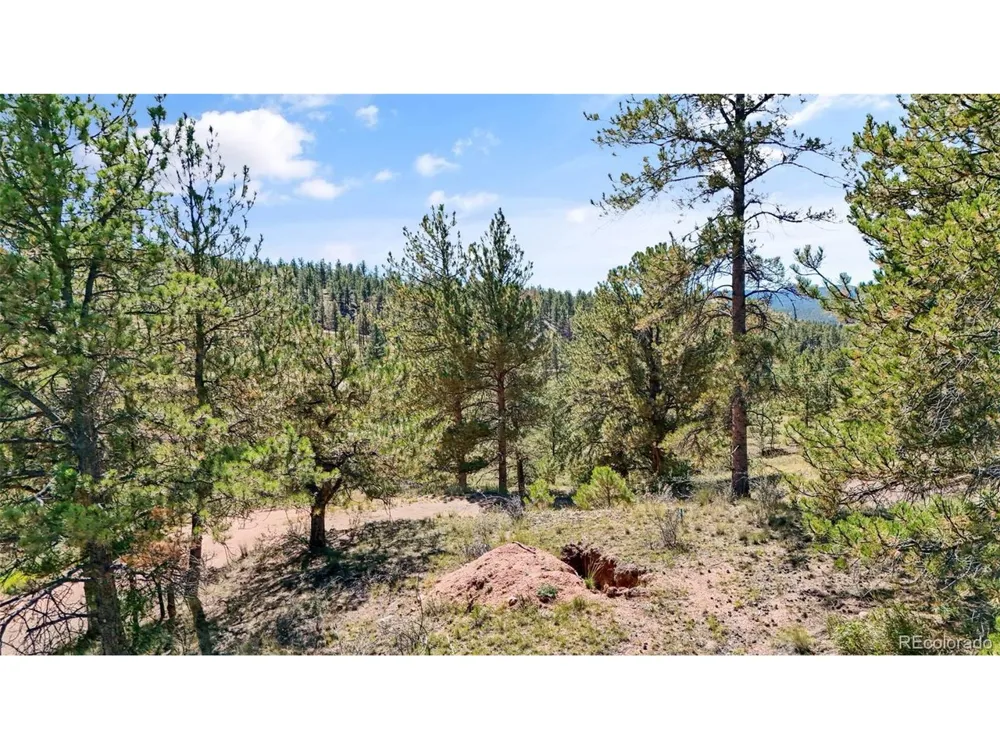 163 Valley View Drive Florissant, CO 80816