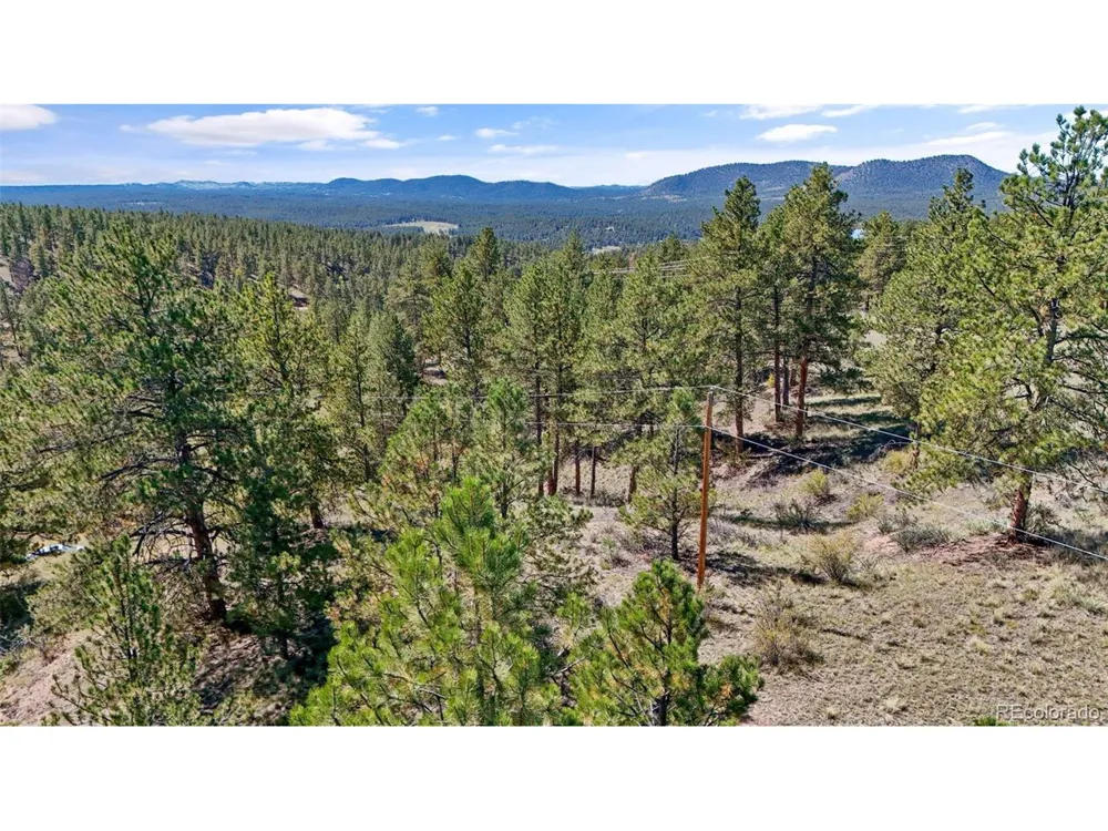 163 Valley View Drive Florissant, CO 80816