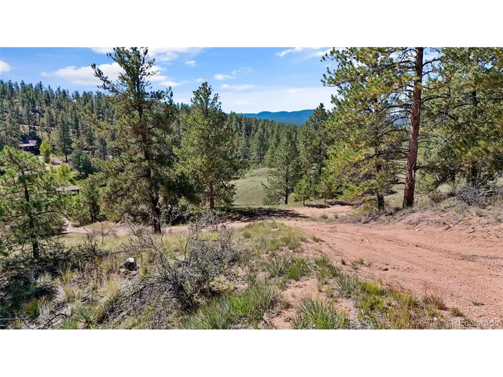 163 Valley View Drive Florissant, CO 80816